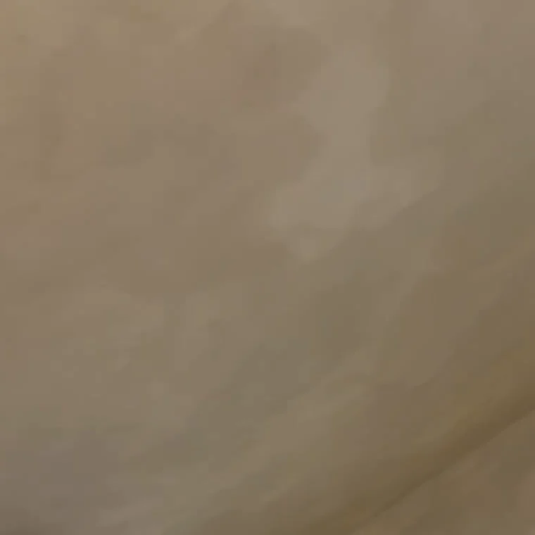 Limewash finish on a vaulted ceiling